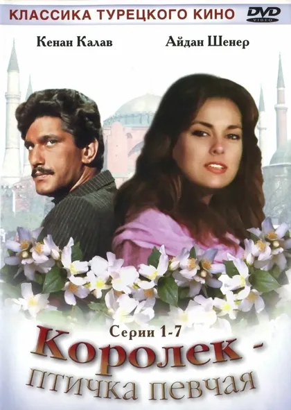 Осман Ф. Седен